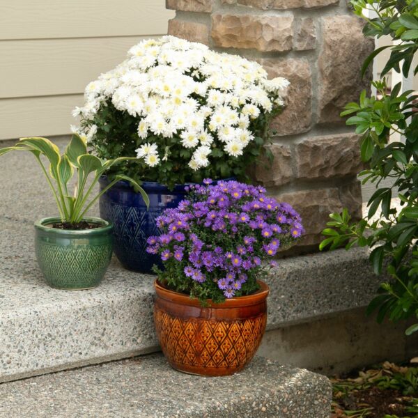 Embossed Jewel Tone Ceramic Planter Set - Image 4